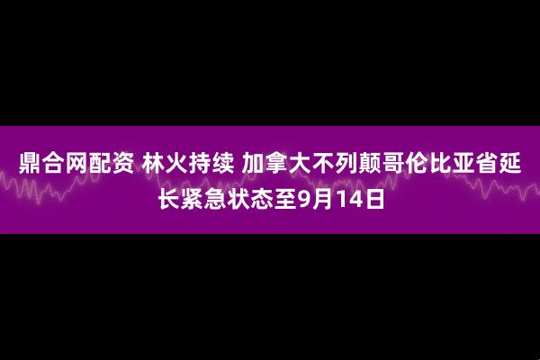 鼎合网配资 林火持续 加拿大不列颠哥伦比亚省延长紧急状态至9月14日